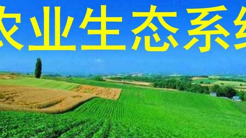家庭农场如何选择适合种植的作物？**