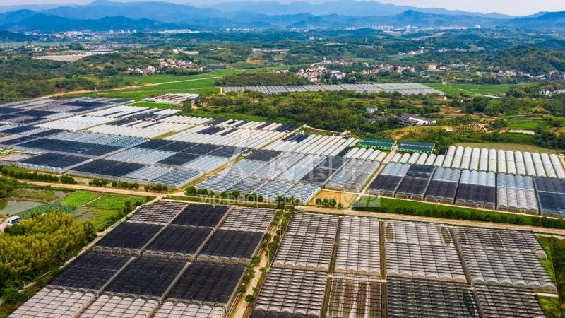 大棚农业种植技术报价
