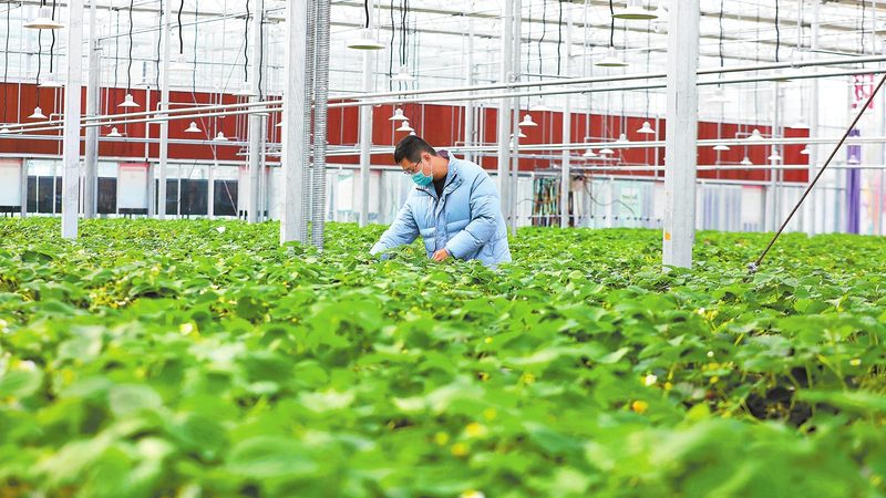 农民专业合作社享受的税收优惠主要包括以下几个方面：