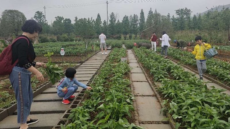 批发商的货从哪来：拆解农产品厂家发货全流程
