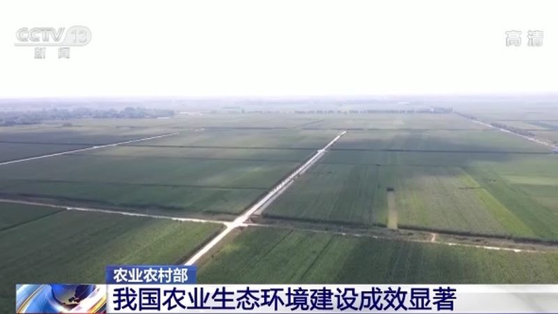 果树专用肥15-15-15：揭秘配方背后的科学奥秘**