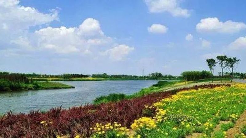 家庭农场有机蔬菜种植加盟，费用构成解析**