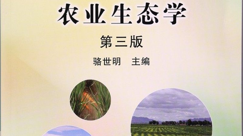 绿色食品定制包装哪家好