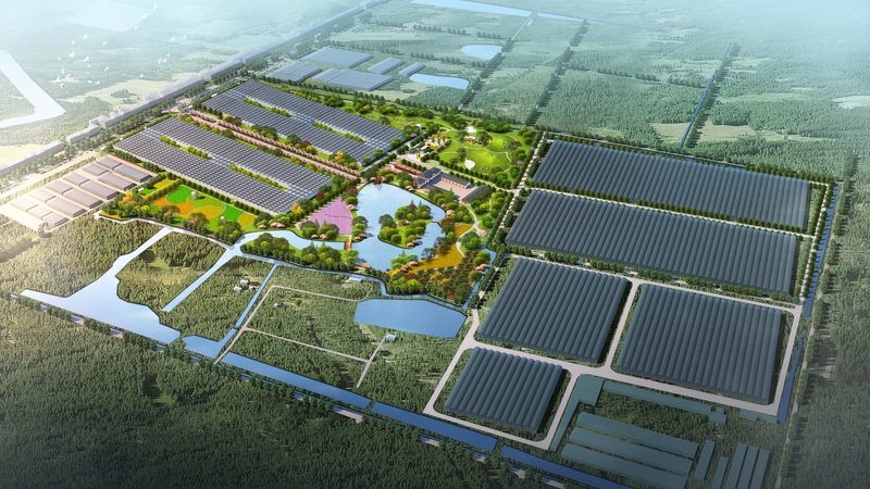 成都农业种植技术培训：提升亩产与品质的关键