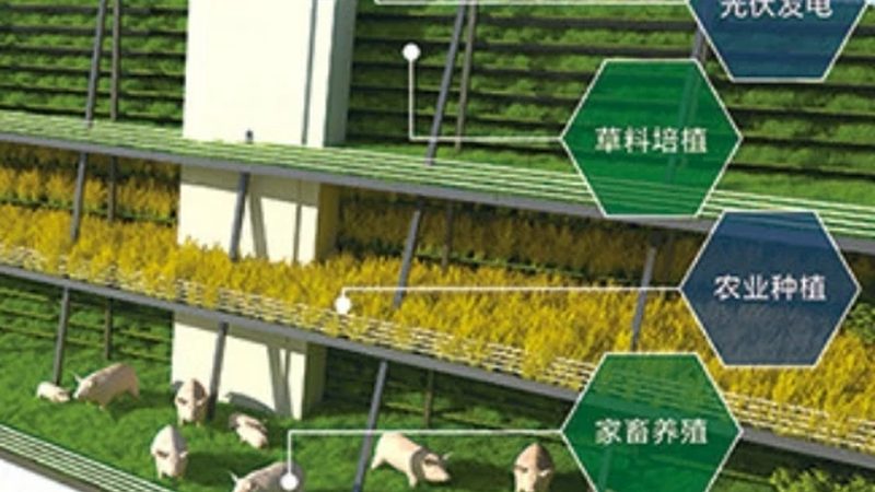 绿色食品标志和无公害标志区别
