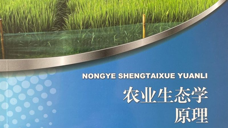 农产品电商新格局：揭秘批发电商平台优劣