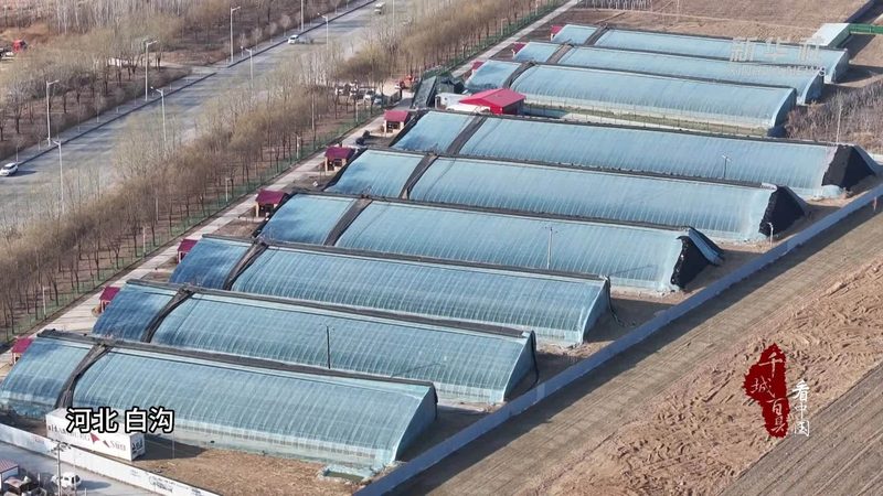 现代农业观光园景观设计方案推荐：打造生态与观光的完美融合