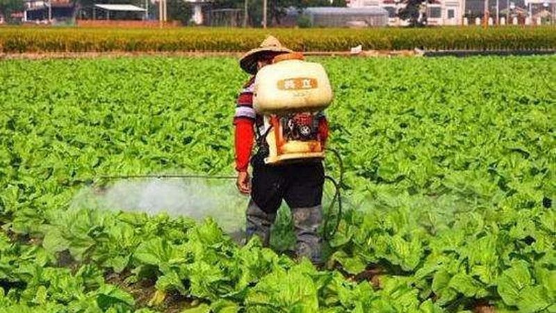 智慧农业公司的资质要求涵盖了多个方面，主要包括：