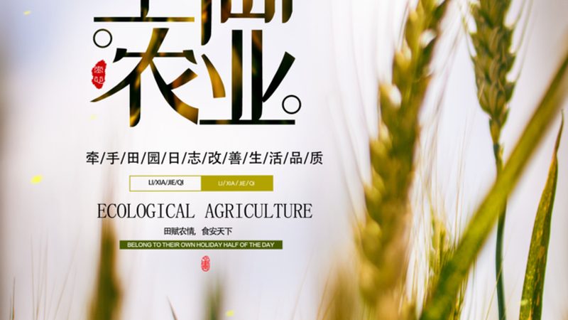 蔬菜种植新技术的革新之路：与传统种植的五大差异